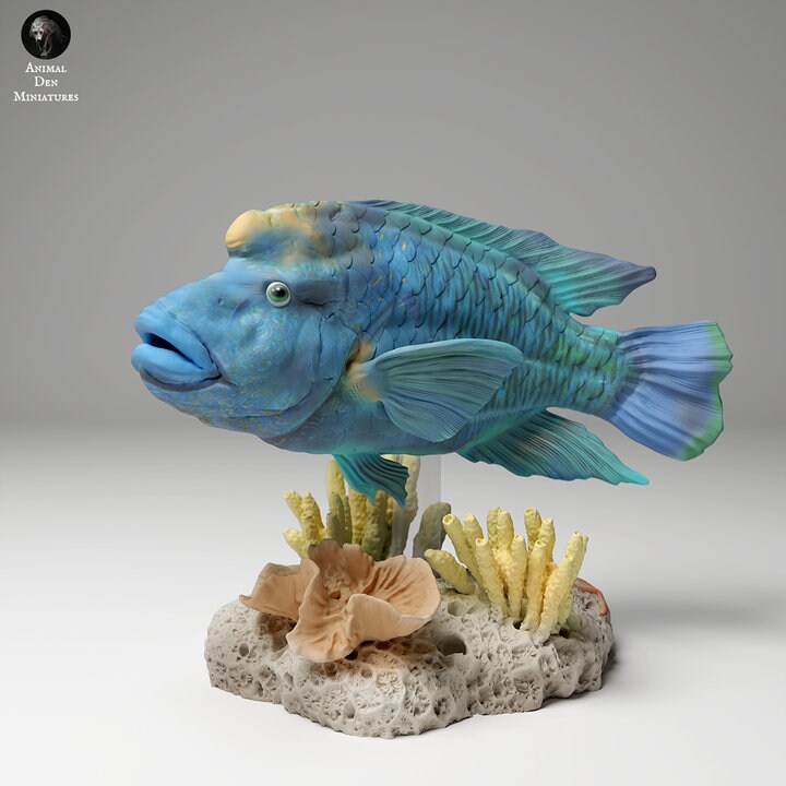 Napoleon or Humphead Wrasse 1 - UNPAINTED - Animal Den Miniatures