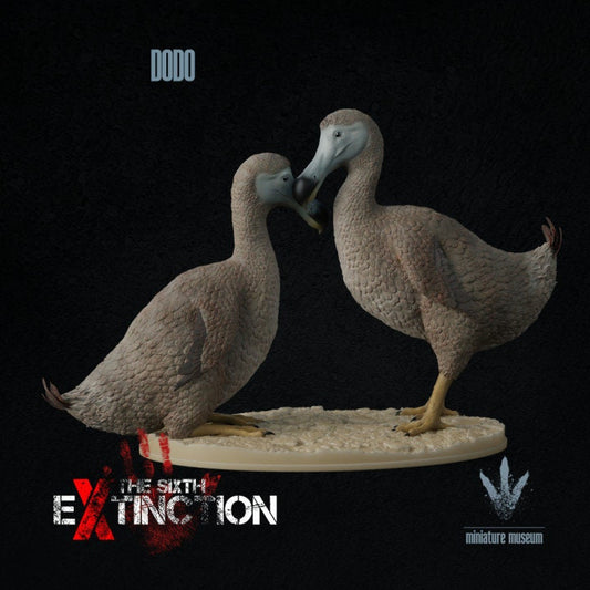 Dodo : A Couple of Dodos - UNPAINTED - Miniature Museum