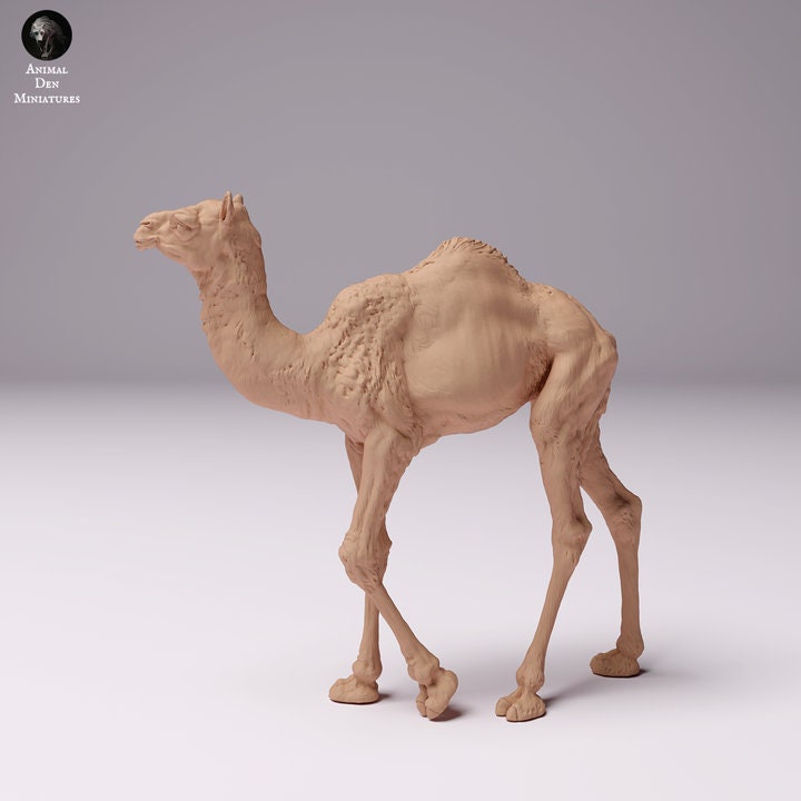 Dromedary Camel Calf - UNPAINTED - Animal Den Miniatures