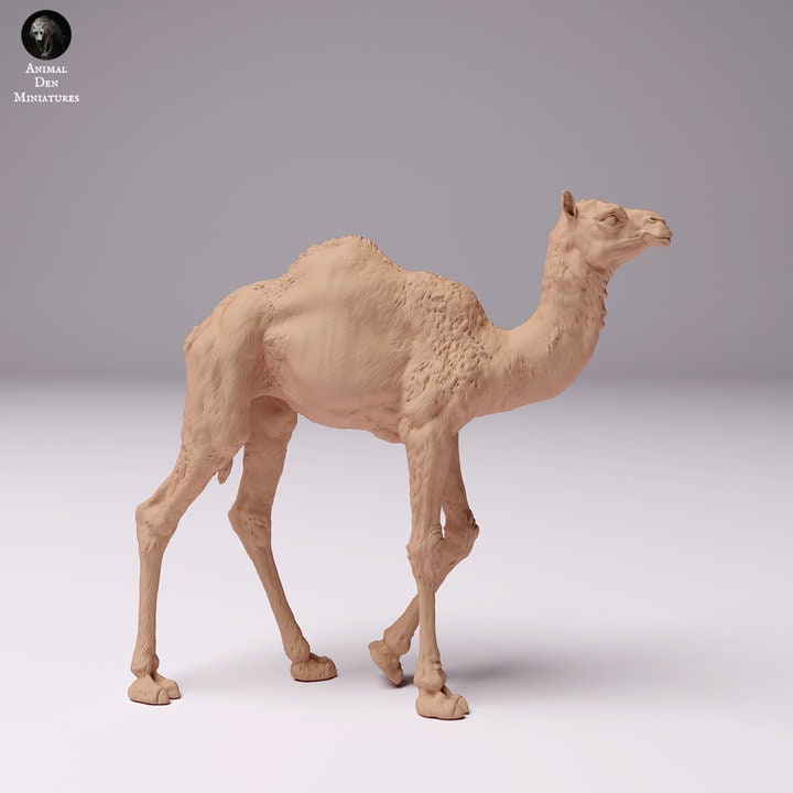 Dromedary Camel Calf - UNPAINTED - Animal Den Miniatures