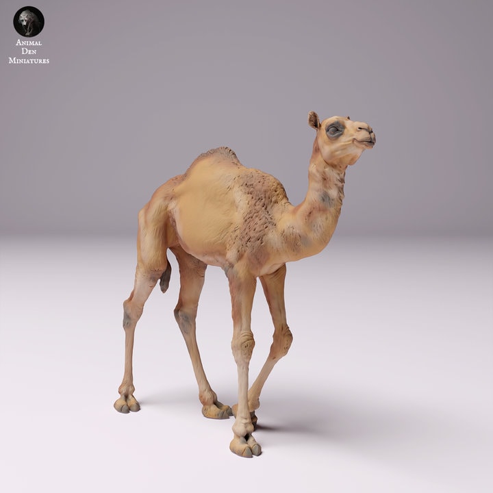 Dromedary Camel Calf - UNPAINTED - Animal Den Miniatures