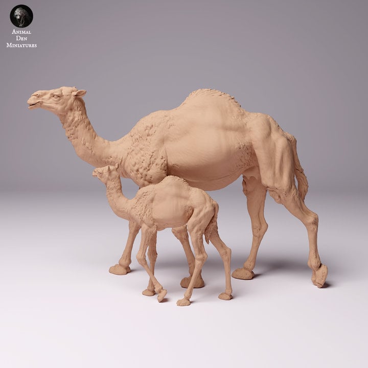 Dromedary Camel Female and Calf- UNPAINTED - Animal Den Miniatures