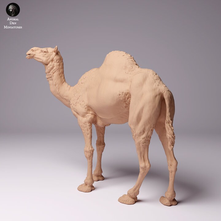 Dromedary Camel Male - UNPAINTED - Animal Den Miniatures