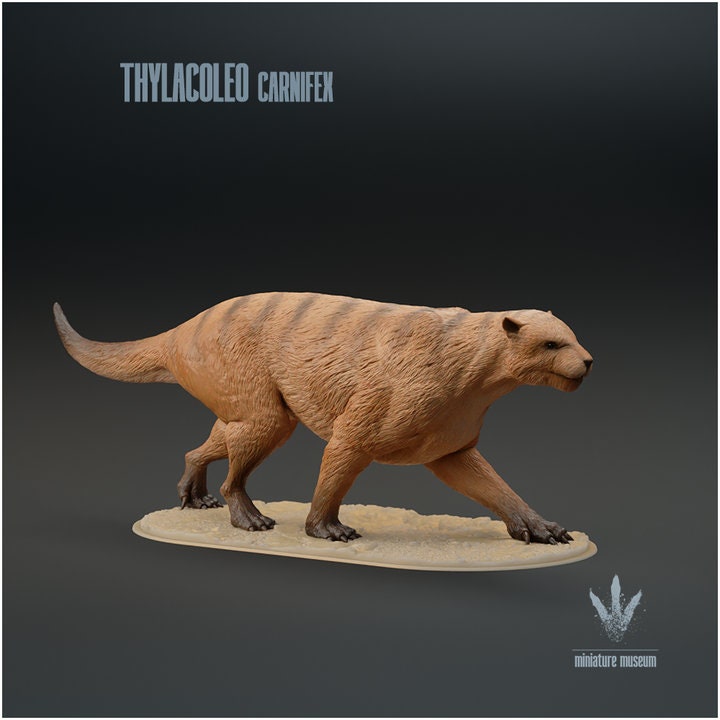 Thylacoleo carnifex : The Marsupial Lion - UNPAINTED - Miniature Museum