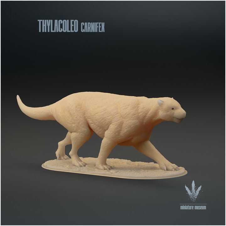 Thylacoleo carnifex : The Marsupial Lion - UNPAINTED - Miniature Museum