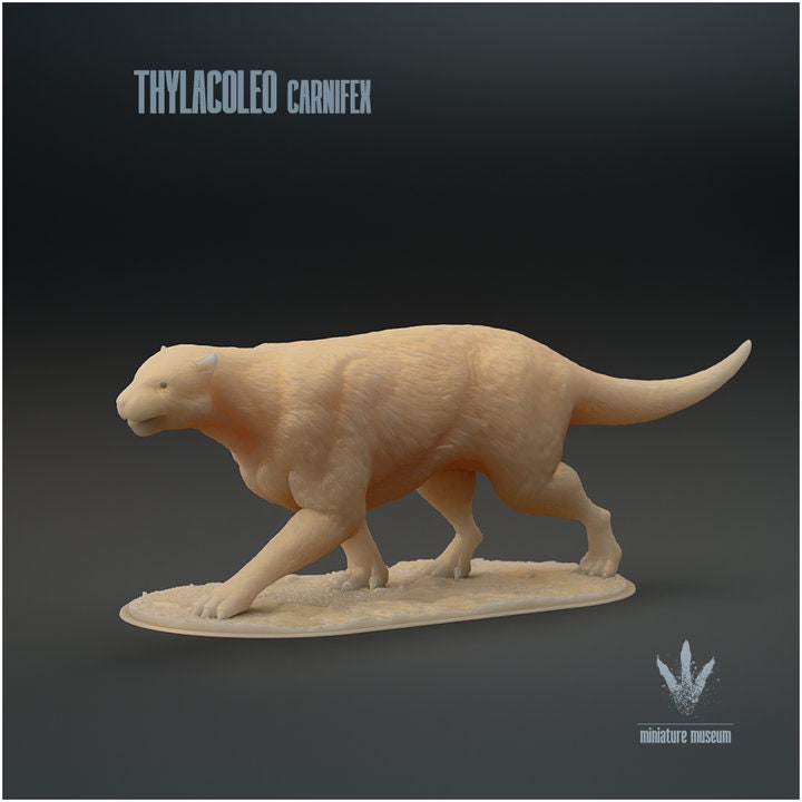 Thylacoleo carnifex : The Marsupial Lion - UNPAINTED - Miniature Museum