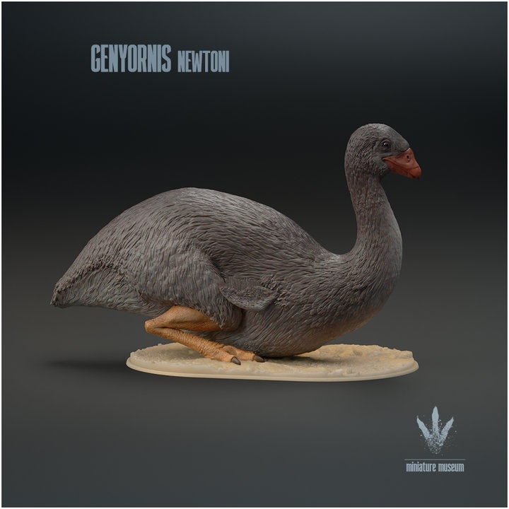 Genyornis newtoni : Sitting - UNPAINTED - Miniature Museum