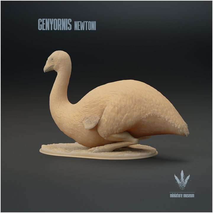 Genyornis newtoni : Sitting - UNPAINTED - Miniature Museum