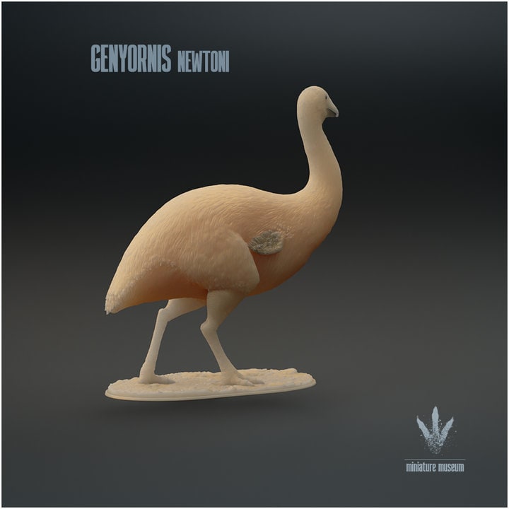 Genyornis newtoni : The Thunder Bird - UNPAINTED - Miniature Museum