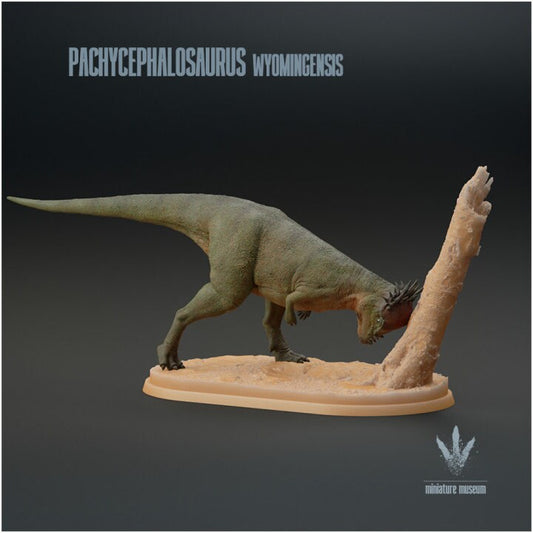 Pachycephalosaurus wyomingensis - UNPAINTED - Miniature Museum