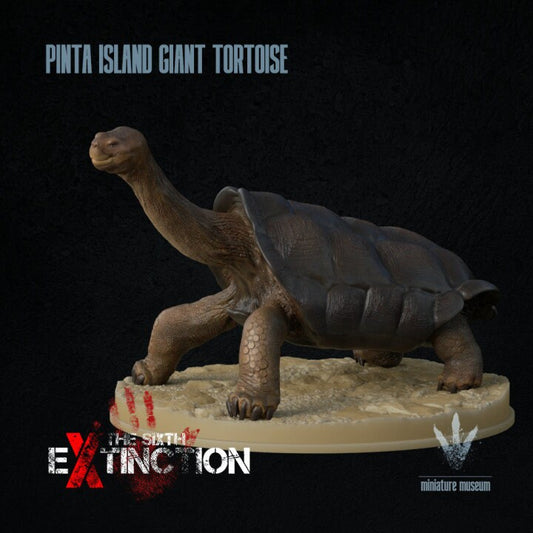 Pinta Island tortoise : Chelonoidis niger abingdonii - UNPAINTED - Miniature Museum
