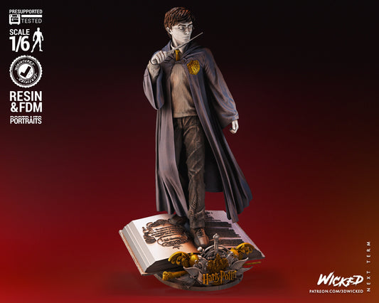 Harry Potter Sculpture - UNPAINTED FAN ART - Wicked 3D Models