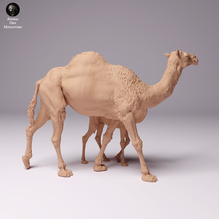 Dromedary Camel Female and Calf- UNPAINTED - Animal Den Miniatures