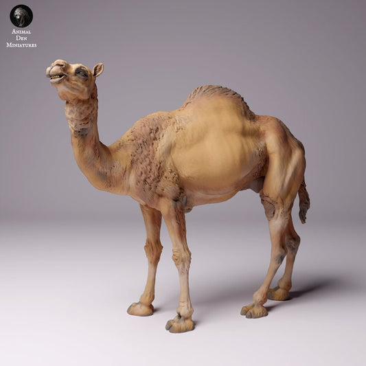 Dromedary Camel Male - UNPAINTED - Animal Den Miniatures