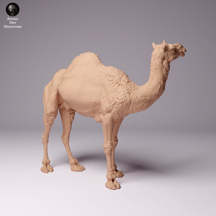 Dromedary Camel Male - UNPAINTED - Animal Den Miniatures