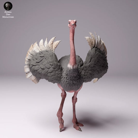 North African Ostrich Male - UNPAINTED - Animal Den Miniatures