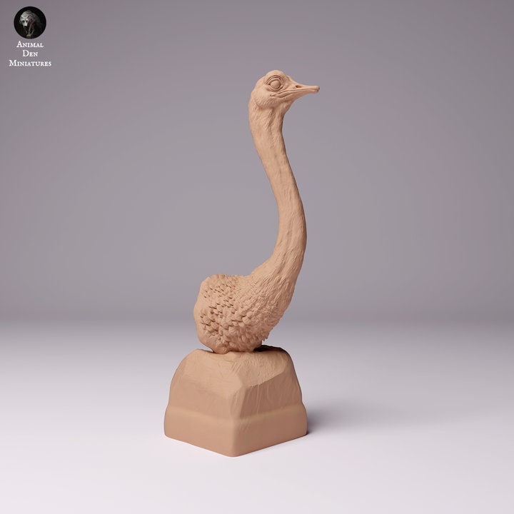 North African Ostrich Bust - UNPAINTED - Animal Den Miniatures