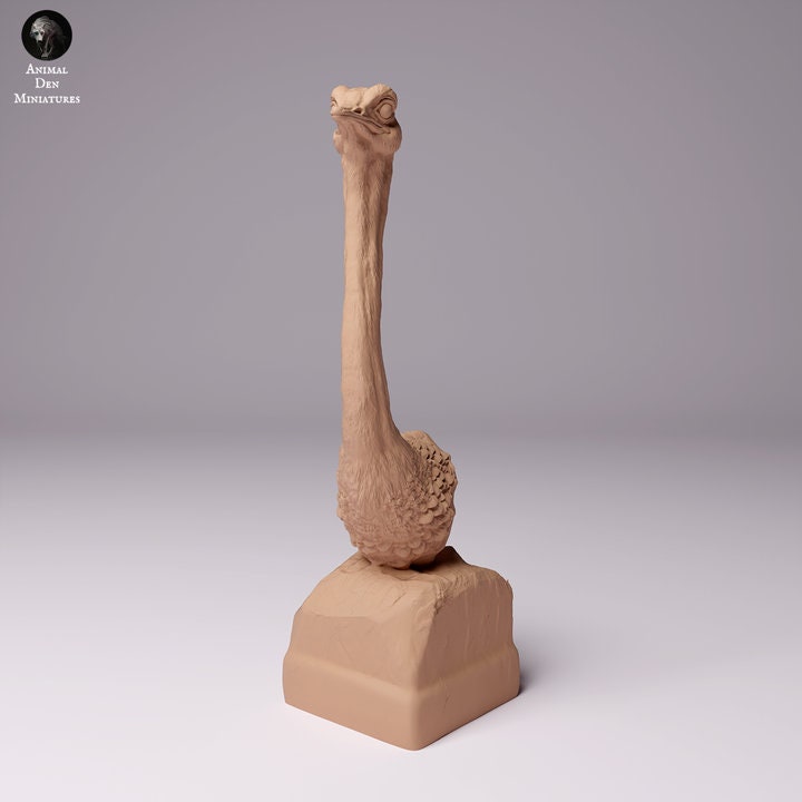 North African Ostrich Bust - UNPAINTED - Animal Den Miniatures