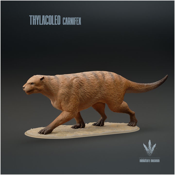 Thylacoleo carnifex : The Marsupial Lion - UNPAINTED - Miniature Museum