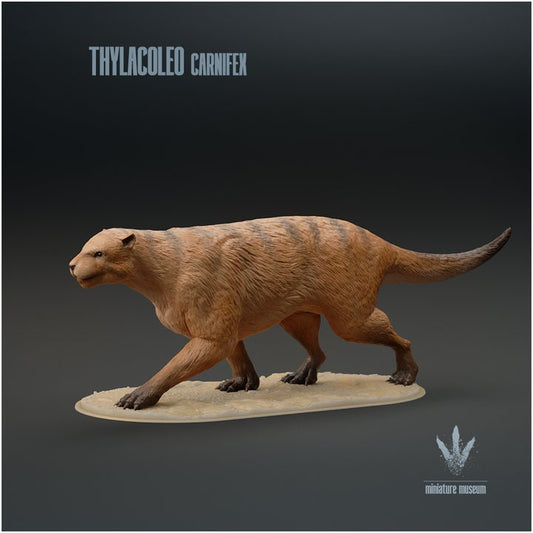 Thylacoleo carnifex : The Marsupial Lion - UNPAINTED - Miniature Museum