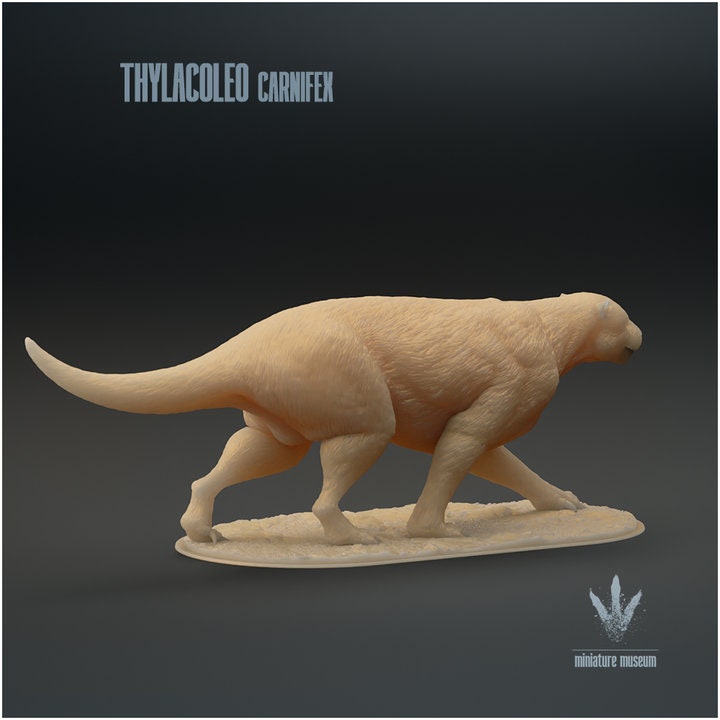 Thylacoleo carnifex : The Marsupial Lion - UNPAINTED - Miniature Museum