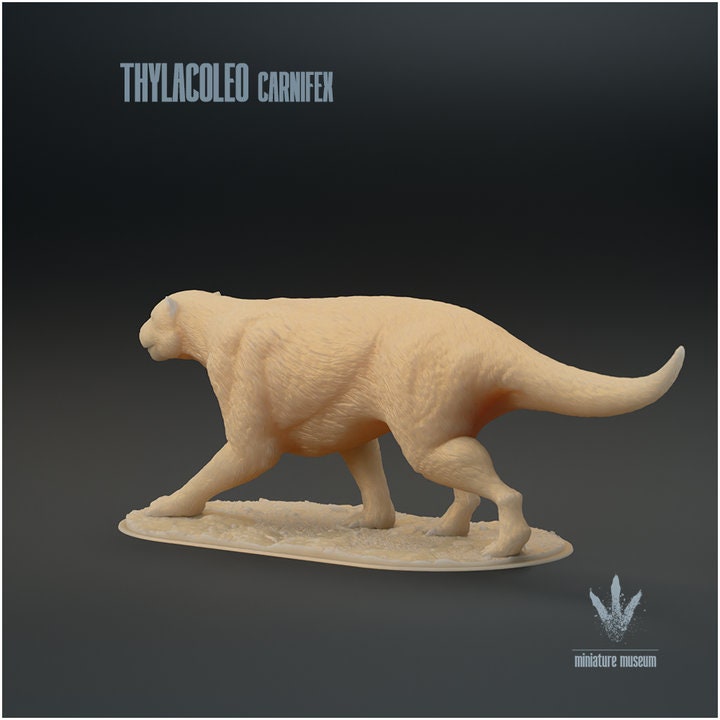 Thylacoleo carnifex : The Marsupial Lion - UNPAINTED - Miniature Museum