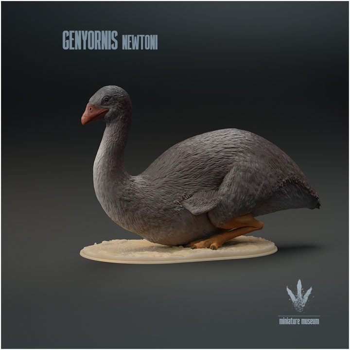 Genyornis newtoni : Sitting - UNPAINTED - Miniature Museum
