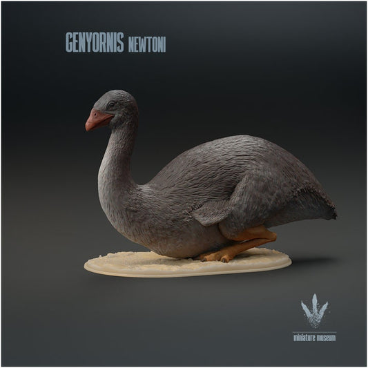 Genyornis newtoni : Sitting - UNPAINTED - Miniature Museum