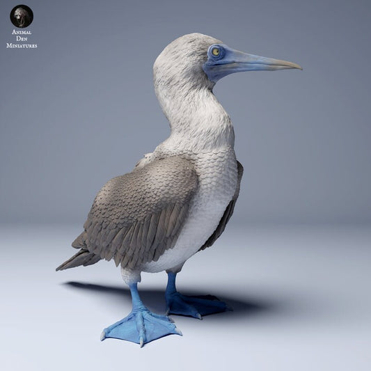 Blue Footed Booby - UNPAINTED - Animal Den Miniatures
