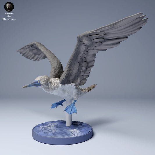 Blue Footed Booby Flying - UNPAINTED - Animal Den Miniatures