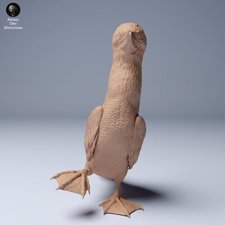 Blue Footed Booby Waddle - UNPAINTED - Animal Den Miniatures