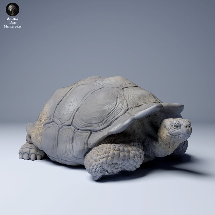 Galápagos Giant Tortoise Chillin - UNPAINTED - Animal Den Miniatures