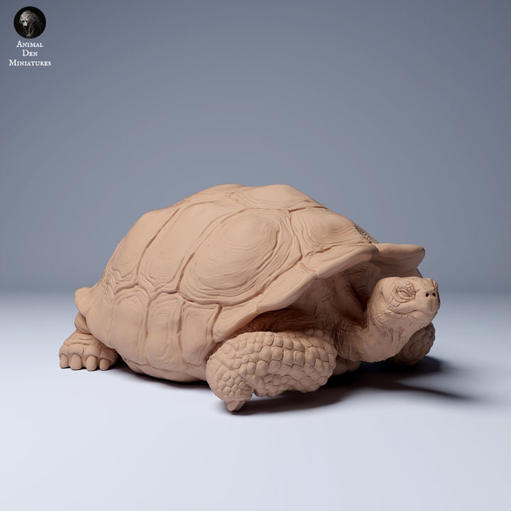 Galápagos Giant Tortoise Chillin - UNPAINTED - Animal Den Miniatures