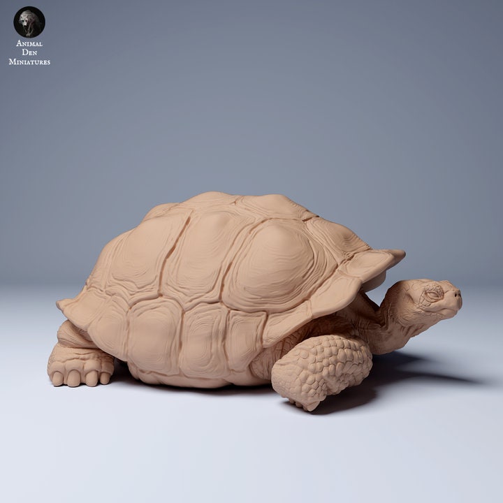 Galápagos Giant Tortoise Chillin - UNPAINTED - Animal Den Miniatures
