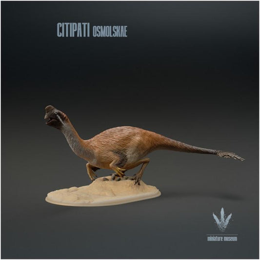 Citipati osmolskae : Big Mama - UNPAINTED - Miniature Museum