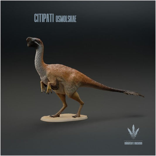 Citipati osmolskae : Mongolian Oviraptor - UNPAINTED - Miniature Museum