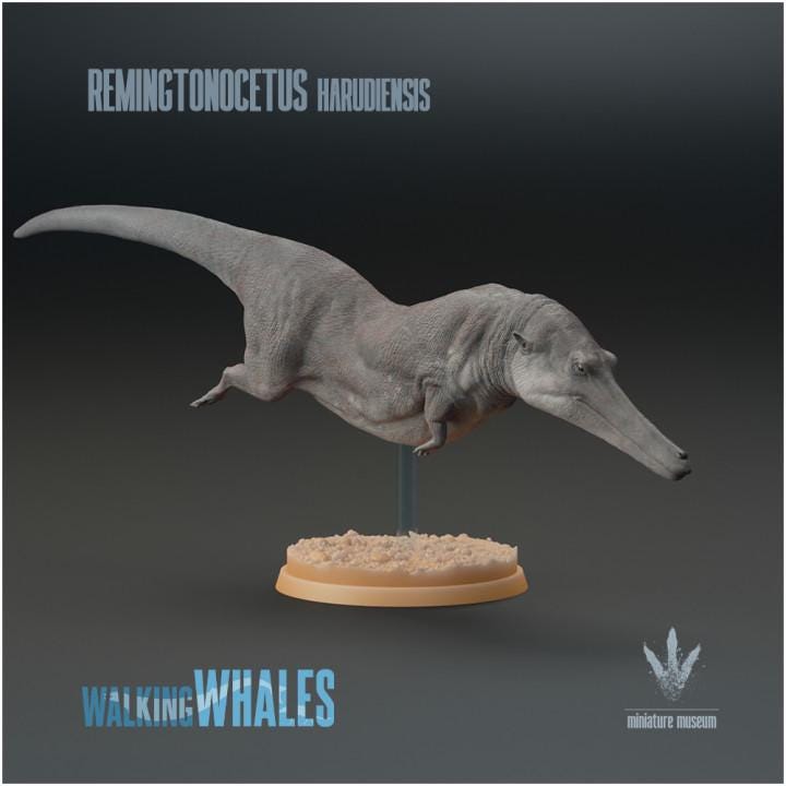 Remingtonocetus harudiensis : The Slender Whale - UNPAINTED - Miniature Museum