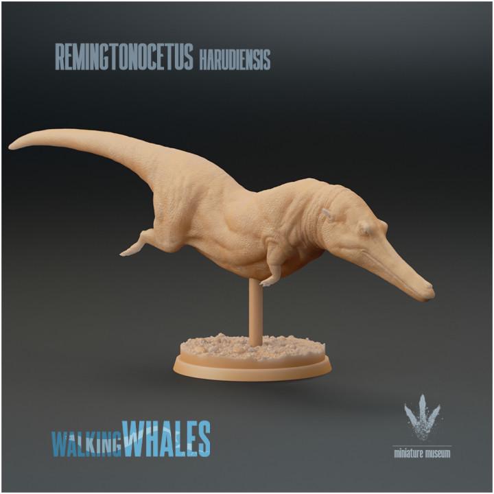 Remingtonocetus harudiensis : The Slender Whale - UNPAINTED - Miniature Museum