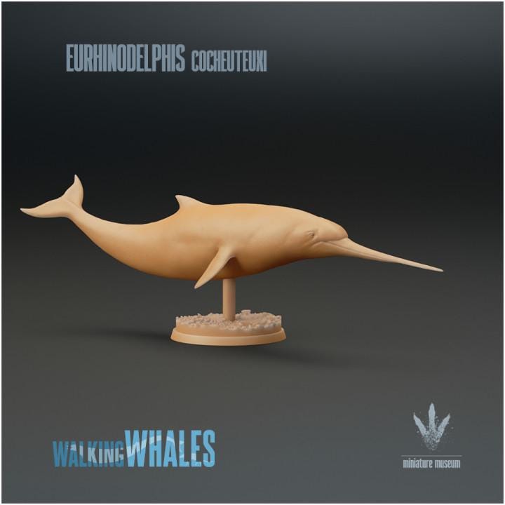 Eurhinodelphis cocheuteuxi : Well-nosed Dolphin - UNPAINTED - Miniature Museum