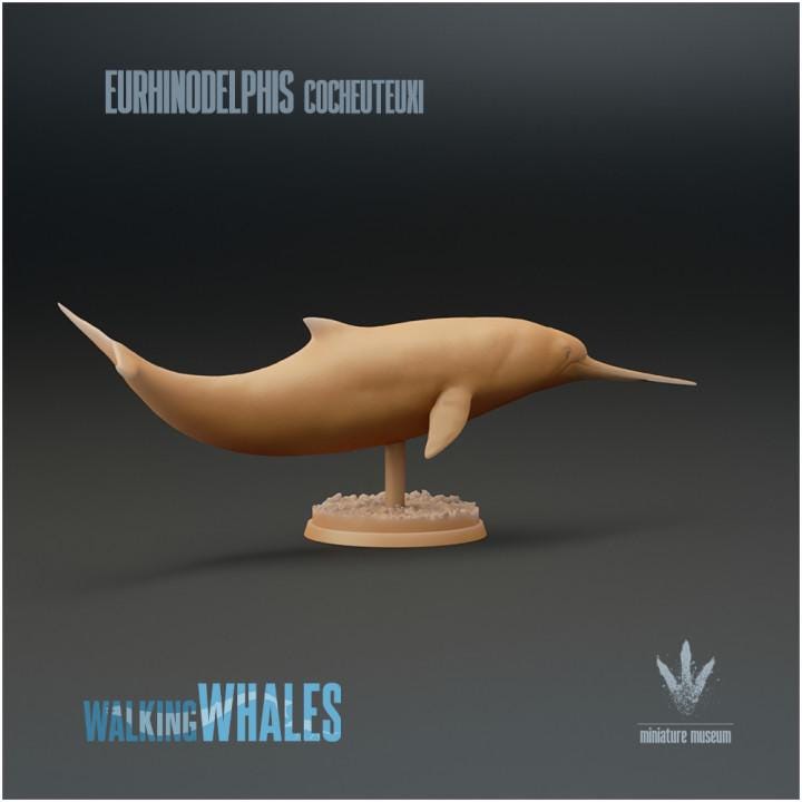 Eurhinodelphis cocheuteuxi : Well-nosed Dolphin - UNPAINTED - Miniature Museum