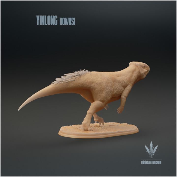 Yinlong downsi : Walking - UNPAINTED - Miniature Museum