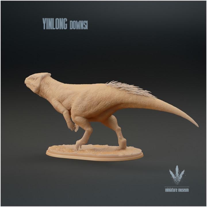 Yinlong downsi : Walking - UNPAINTED - Miniature Museum