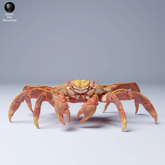 Sally Lightfoot Crab - UNPAINTED - Animal Den Miniatures