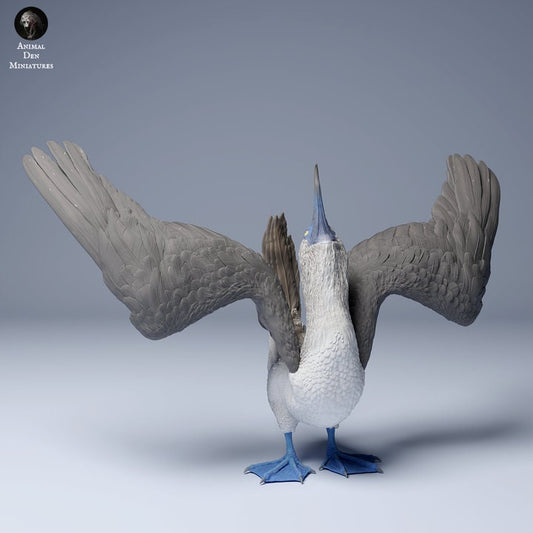 Blue Footed Booby Dance - UNPAINTED - Animal Den Miniatures