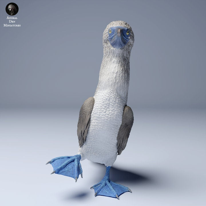 Blue Footed Booby Waddle - UNPAINTED - Animal Den Miniatures