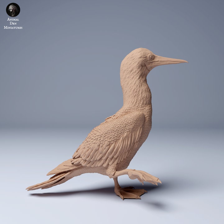 Blue Footed Booby Waddle - UNPAINTED - Animal Den Miniatures