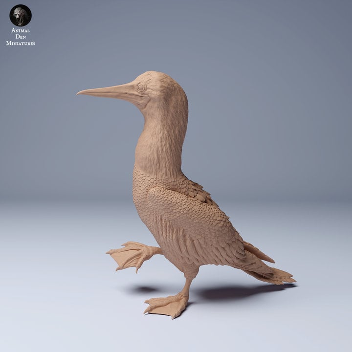 Blue Footed Booby Waddle - UNPAINTED - Animal Den Miniatures