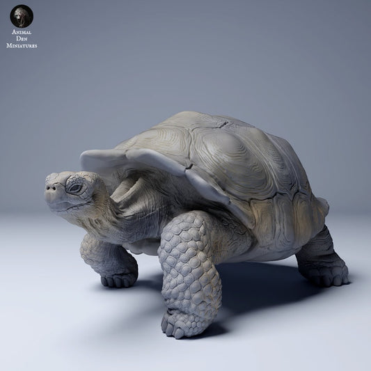 Galápagos Giant Tortoise - UNPAINTED - Animal Den Miniatures