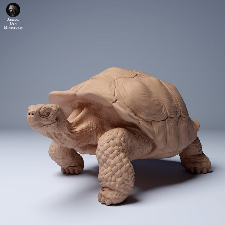 Galápagos Giant Tortoise - UNPAINTED - Animal Den Miniatures