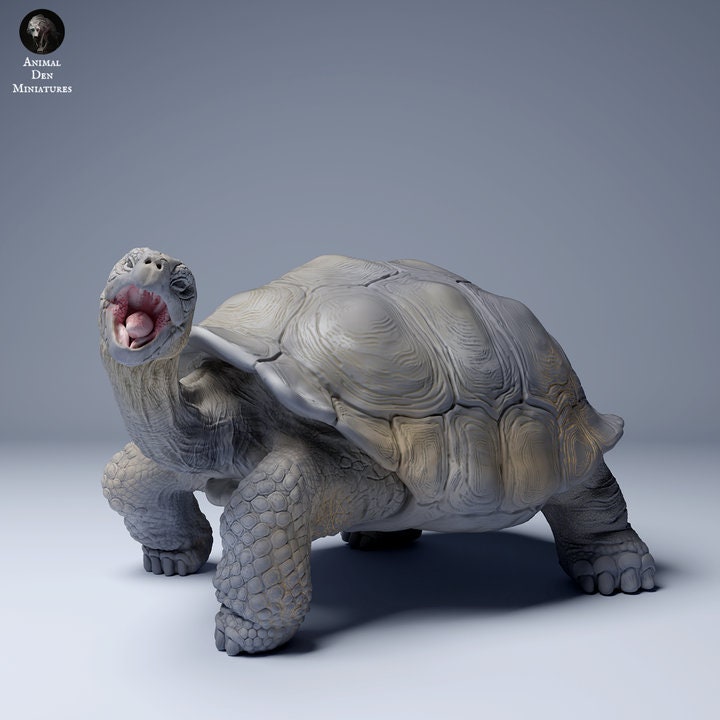 Galápagos Giant Tortoise Eating - UNPAINTED - Animal Den Miniatures
